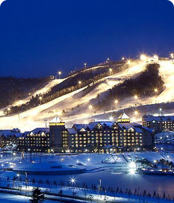 글로(glo) l Dec Promo