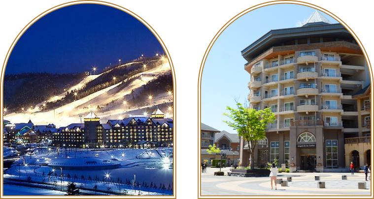 글로(glo) l Dec Promo