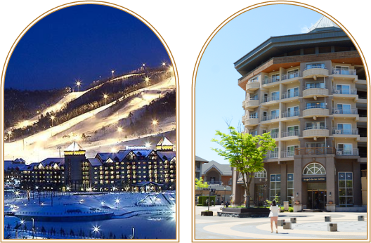 글로(glo) l Dec Promo