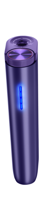 애미시스트 퍼플