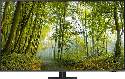 4주차 경품 삼성 QLED 4K 65인치 TV