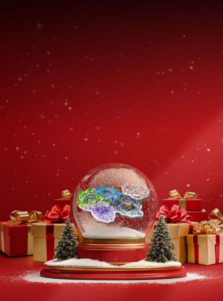 dec campaign snowball