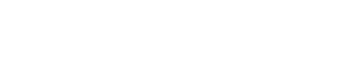 현명한 선택