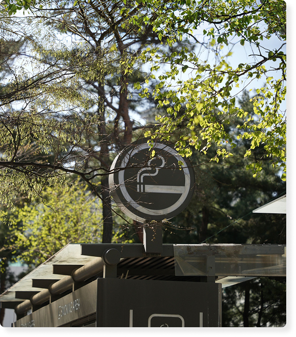 글로 스팟 이미지