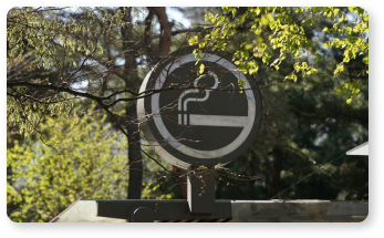 글로 스팟 이미지