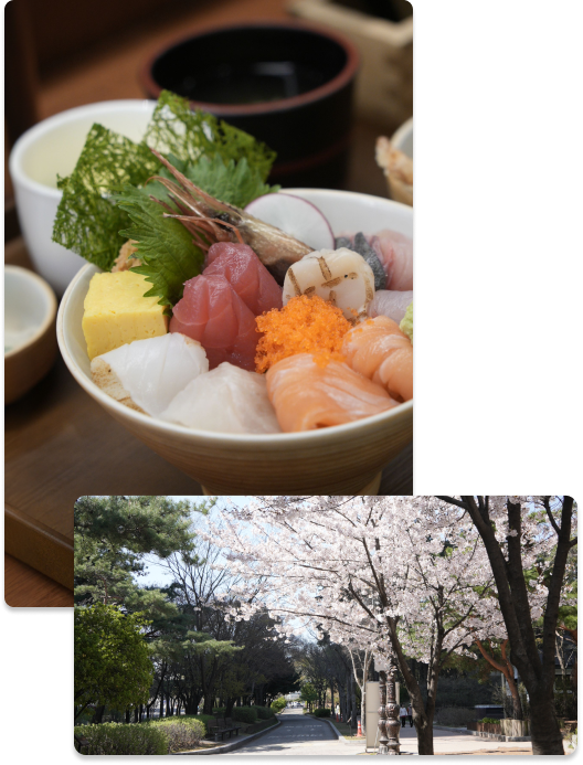 일품 여의도점 이미지