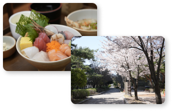 일품 여의도점 이미지