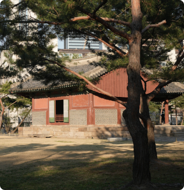 선릉 산책 코스