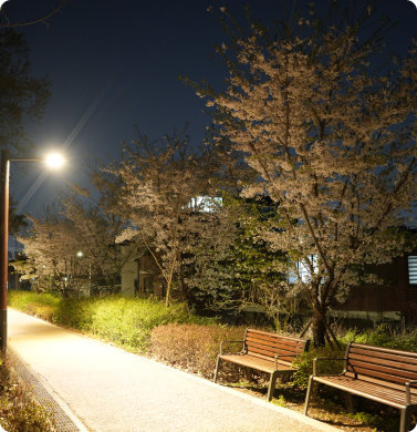 사당역 산책 코스