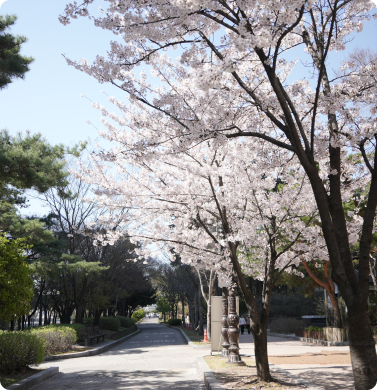 여의도 산책 코스