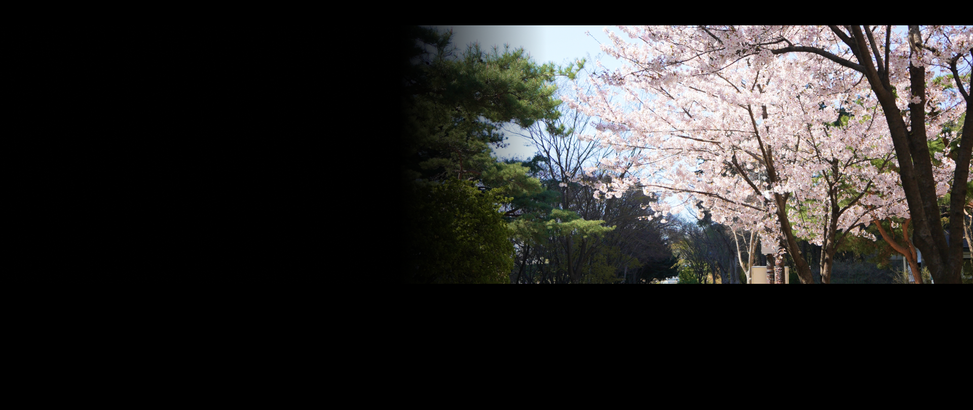 글로픽 배경이미지