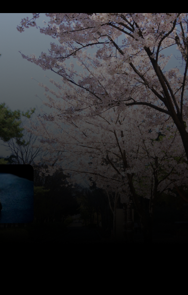 글로픽 배경이미지