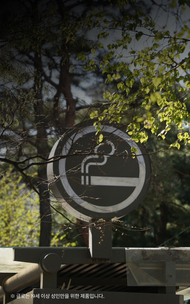 글로픽 4월호 멤버 추천 글로 스팟 5선