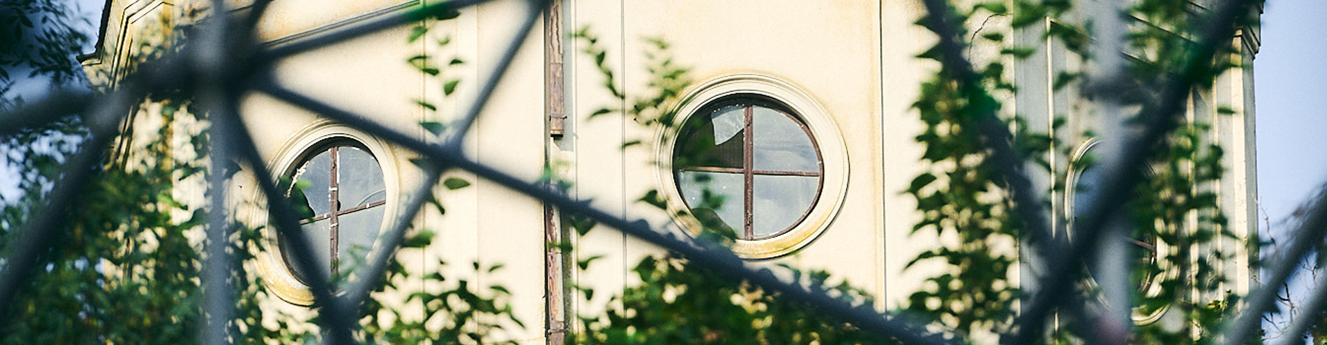 summerwell-glo-iul253