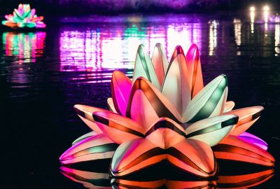 A Love Story In Chaos