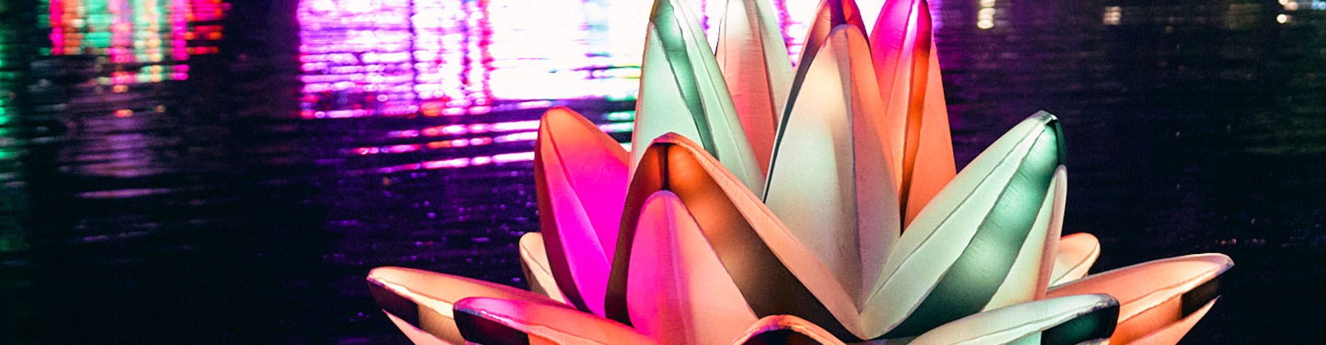 oct_header_1 A Love Story In Chaos
