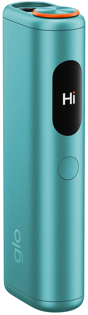 Arctic Teal